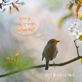 Uitnodiging verjaardag met roodborst