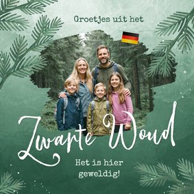 Vakantiekaart Duitsland Zwarte Woud foto dennentakken