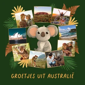 Vakantiekaart groetjes uit Australië fotocollage koala