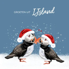 Vakantiekaart kerst op IJsland