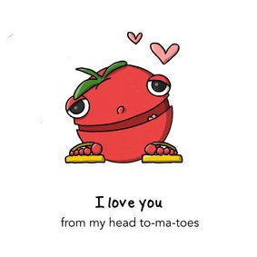 Valentijnskaart i love you from my head to my toes