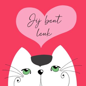 Valentijnskaart - Kat jij bent leuk