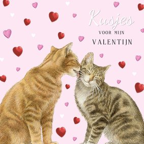 Valentijnskaart met twee lieve katten en hartjes