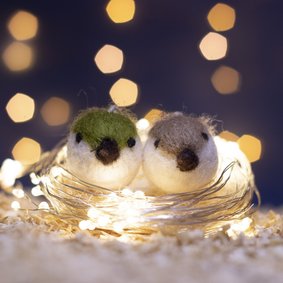 Valentijnskaart met twee vogels op een nest