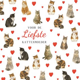 Valentijnskaart met verschillende katten en hartjes.