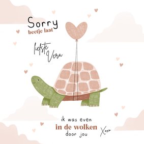 Valentijnskaart te laat schildpad in de wolken hartjes