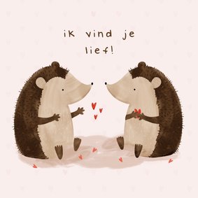 Valentijnskaart twee egeltjes ik vind je lief met hartjes