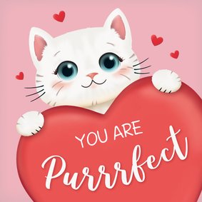 Valentijnskaartje you are purrrfect