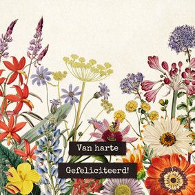 Van harte gefeliciteerd felicitatiekaart vintage bloemenveld