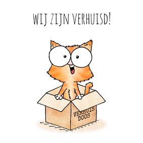 Verhuiskaart - kitten in verhuisdoos