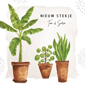 Verhuiskaart met aquarel kamerplanten 