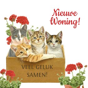 Verhuiskaart met katten in verhuisdoos