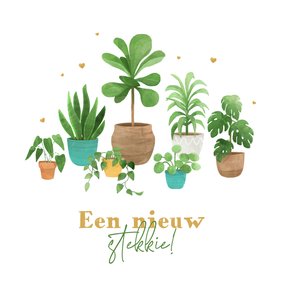 Verhuiskaart planten nieuw stekkie hartjes verhuisdoos