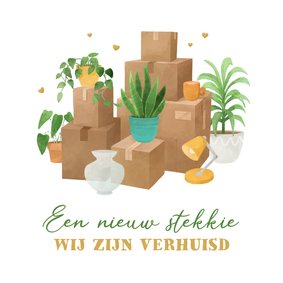 Verhuiskaart verhuisdozen planten nieuw stekkie hartjes