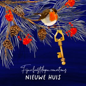 Verhuis(kerst)kaart roodborstje en gouden sleutel