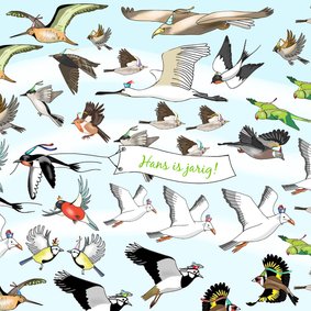 Verjaardag - allemaal vogels