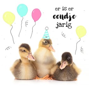 Verjaardag - Er is er eendje jarig - Kuikentjes