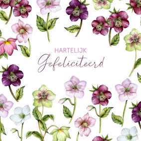 Verjaardag helleborus rozen