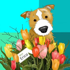 Verjaardag - hond met tulpen