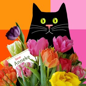 Verjaardag - kat met kleurige tulpen