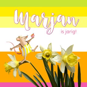 Verjaardag - Narcissen en muisjes