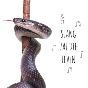 Verjaardag - Slang zal die leven