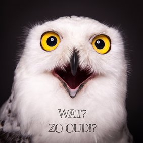 Verjaardag - Sneeuwuil - Zo oud?