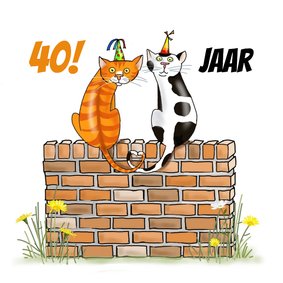 Verjaardag - twee katten op een muurtje