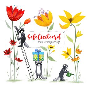 Verjaardag - Wasbeertjes vieren verjaardagsfeest