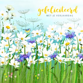 Verjaardag - Wilde witte en blauwe bloemen en koolmeesje