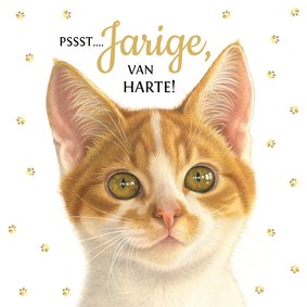 Verjaardagkaart met felicitatie van kitten Rover