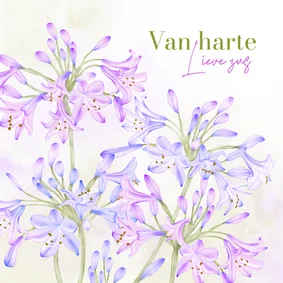 Verjaardagskaart Agapanthus