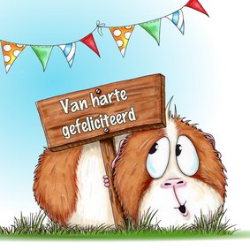 Verjaardagskaart cavia met bord