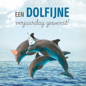 Verjaardagskaart dolfijn