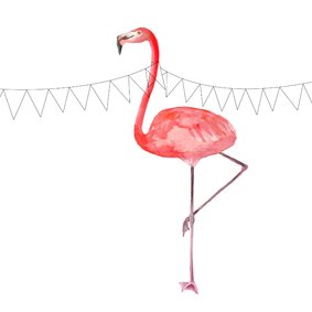 Verjaardagskaart Flamingo Huidfonds