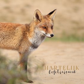 Verjaardagskaart foto van vos in de duinen