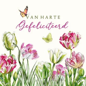 Verjaardagskaart gekleurde tulpen voorjaar