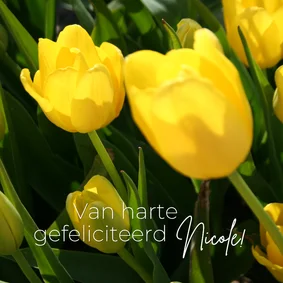 Verjaardagskaart gele tulpen