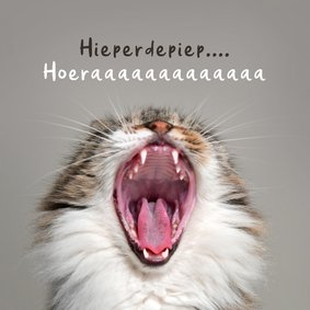 Verjaardagskaart grappig hoera kat poes humor