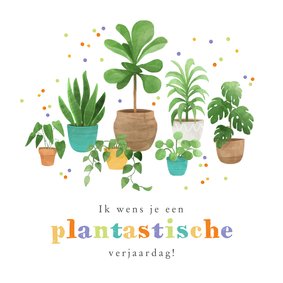 Verjaardagskaart grappig humor planten confetti