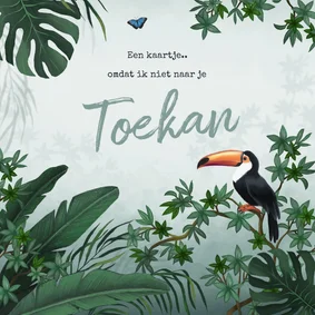 Verjaardagskaart jungle toekan