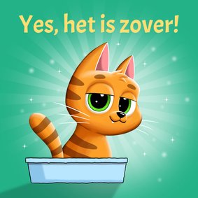 Verjaardagskaart kat zit op kattenbak: Yes, het is zover!
