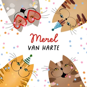 Verjaardagskaart katten in feeststemming
