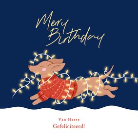 Verjaardagskaart kerst met teckel merry birthday