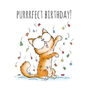 Verjaardagskaart kitten met confetti purrrfect birthday