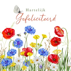 Verjaardagskaart klaprozen en veldbloemen