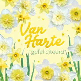 Verjaardagskaart lente narcissen