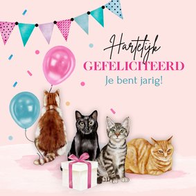 Verjaardagskaart leuke katten met ballonnen 