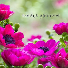 Verjaardagskaart met anemonen