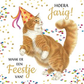 Verjaardagskaart met dansende rode kater